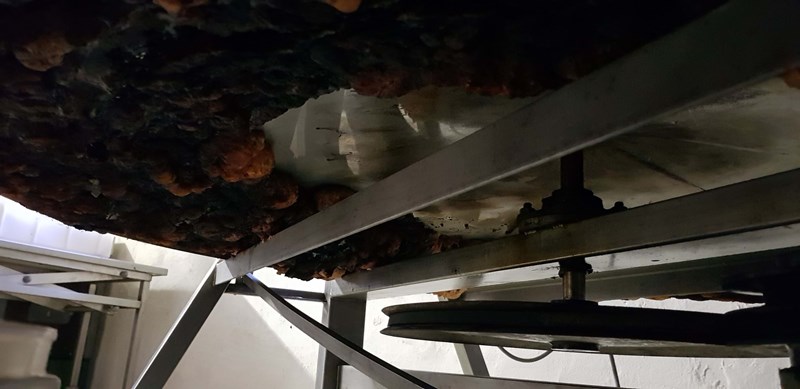 Tv Mobile Pos1 344307 Image5