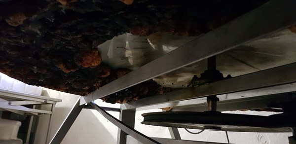 Tv Mobile Pos1 344307 Image5